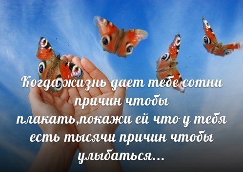   ,    . - 8  2019  13:34