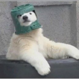 ���������, ���