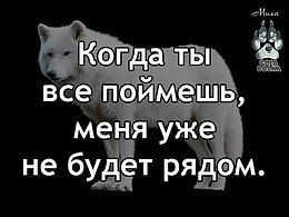 NikaTinka - 2  2019  20:32