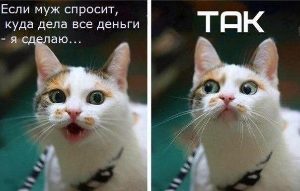    - 7  2019  19:04