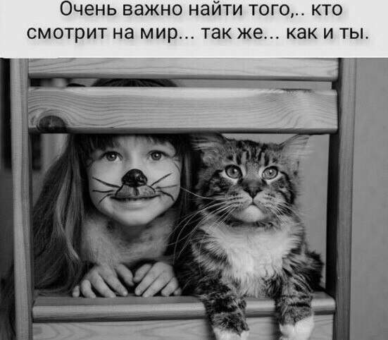 ***Victoria Viktorovna*** - 11  2019  06:30