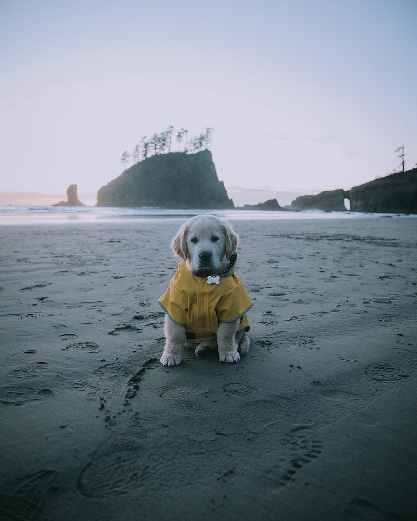 �a� �� �oo��e �o�e�e ���� �e� co�a��?