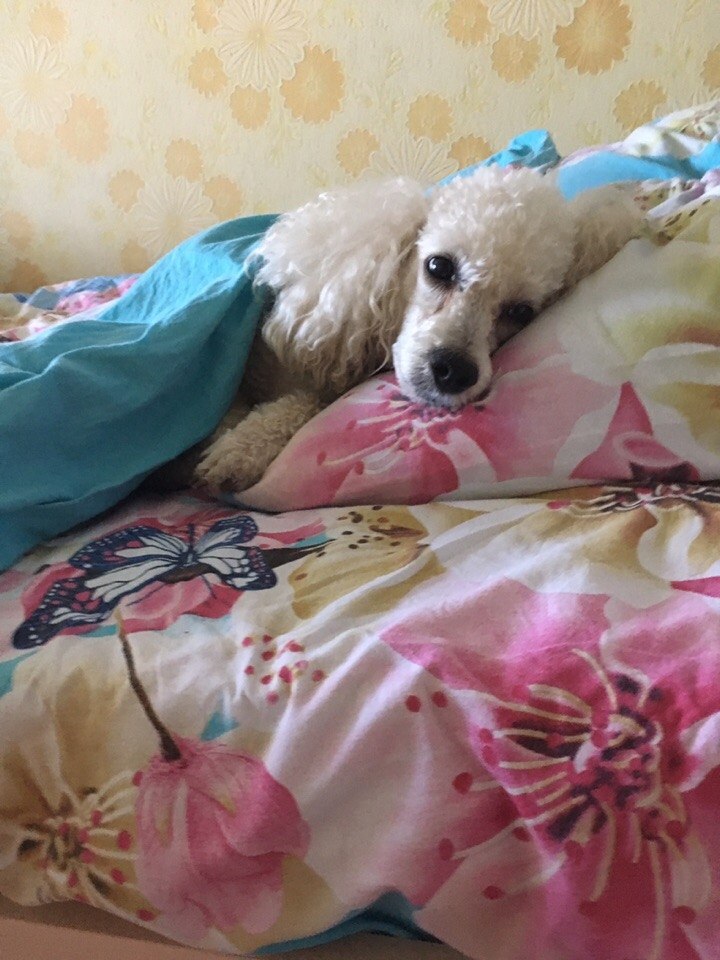   .,7 