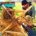 ���� �������, ������, 58 ��� - ��������� 28 ������� 2019 � ������ ������� ����������