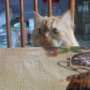 ��� ������. �� ������� ���������� ����!�