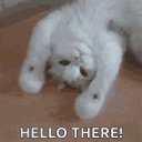 ���� ������, ��������, 59 ��� - ��������� 10 ������� 2019 � ������ ���� ����������