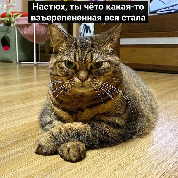    : 
