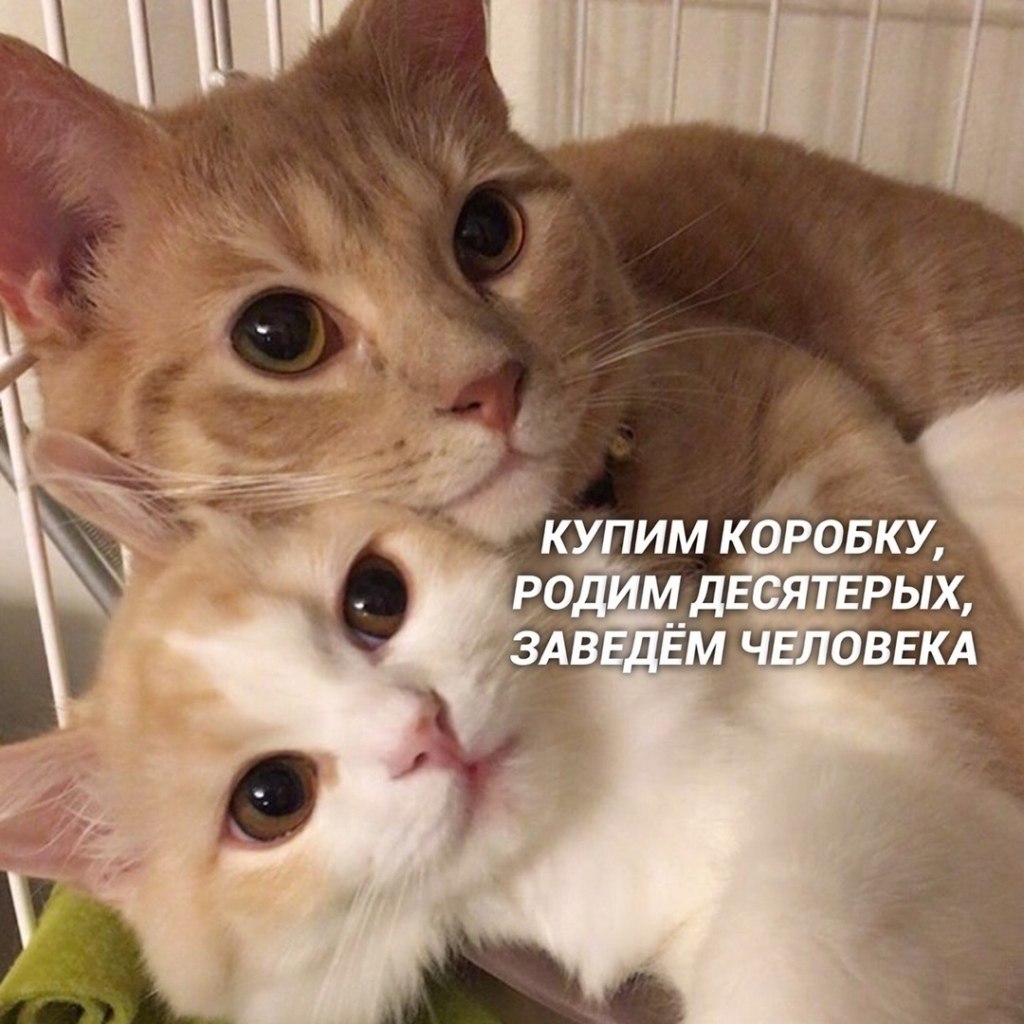       !.. - 2