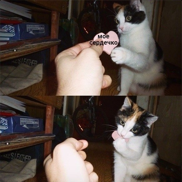     - :