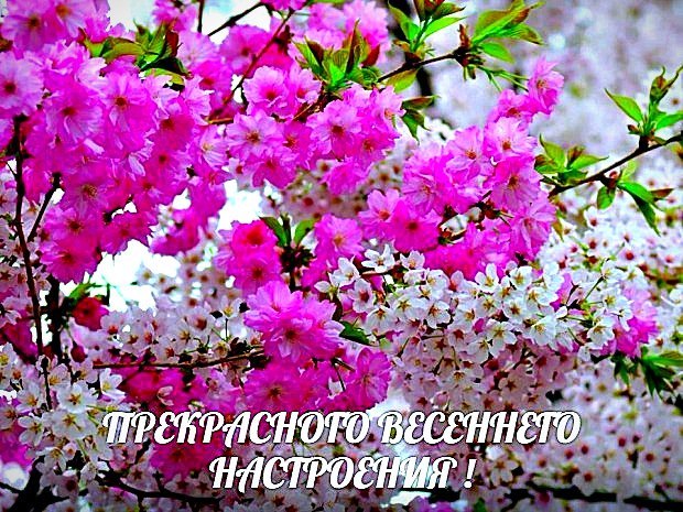   ,    . - 3  2019  13:35