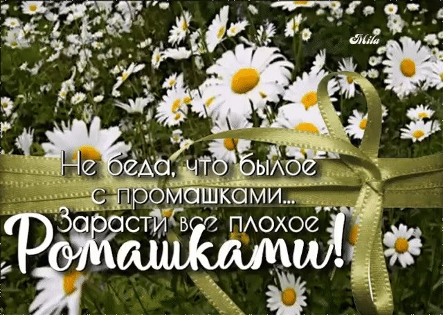   ,    . - 17  2019  15:57