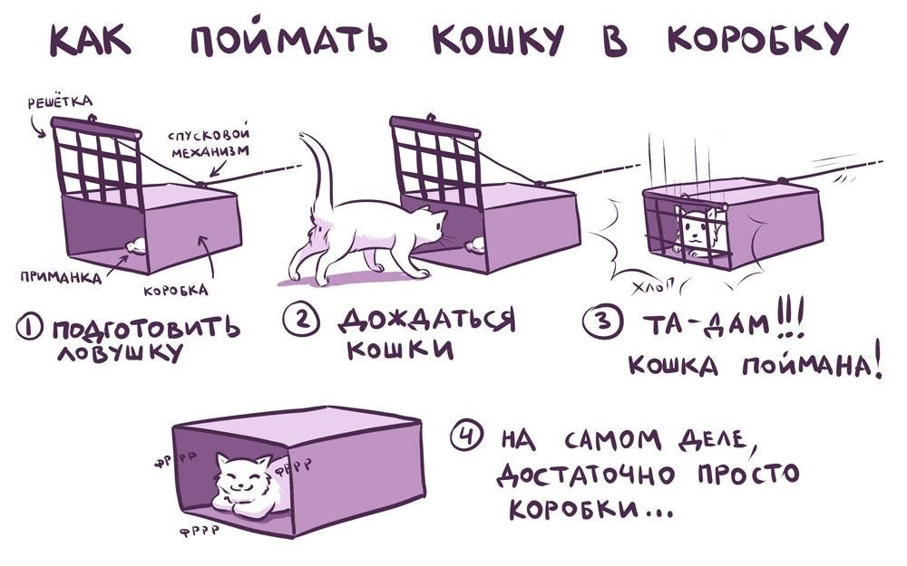 ,   :   