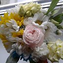 ���� ����������, ����������, 51 ��� - ��������� 9 ��� 2019 � ������ ���� ����������