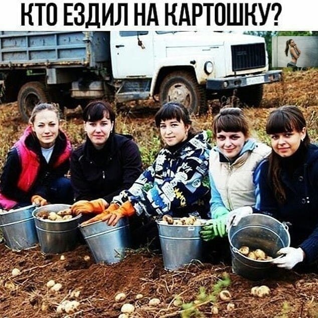   .     .
