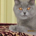 ���� ³����, ��������, 63 ���� - ��������� 26 ������� 2019 � ������ ���� �������Ż