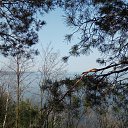 ���� ��������, ����, 39 ��� - ��������� 12 ������ 2019 � ������ ������ ��������