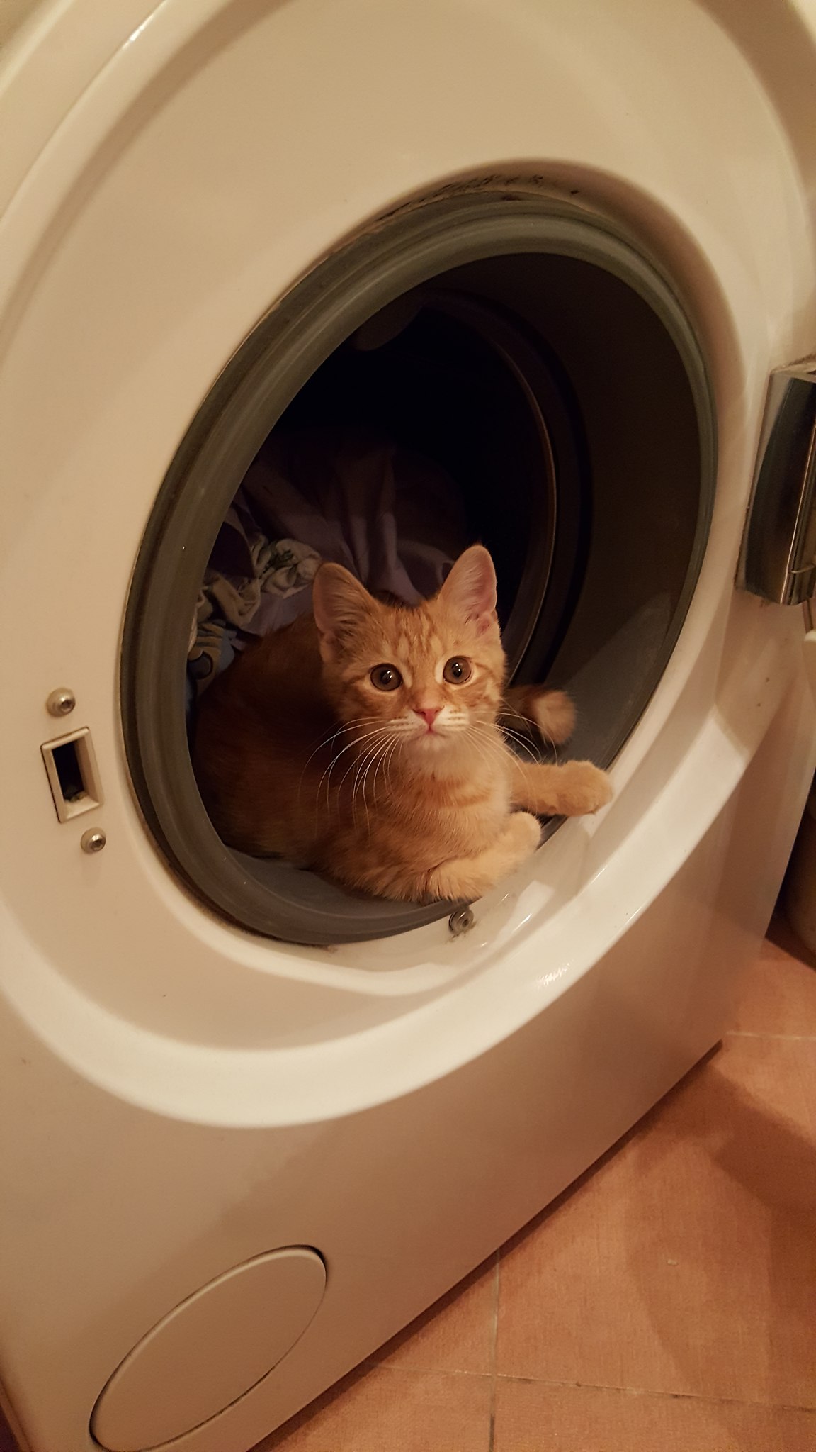 ��� ������ ���� ������ - 2