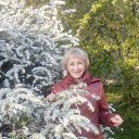 ���� ������, �����������, 68 ��� - ��������� 5 ��� 2019 � ������ ������ ��������