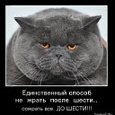 ���� ~L~, ���������, 51 ��� - ��������� 26 �������� 2019 � ������ ���� ����������