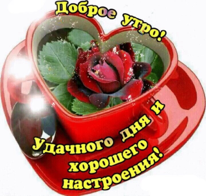  ,    . - 26  2019  09:33