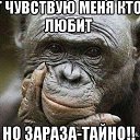 ���� V, ������ - ��������� 21 ���� 2019