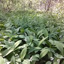 ���� �������, ���������, 60 ��� - ��������� 26 ��� 2019 � ������ ���� ����������