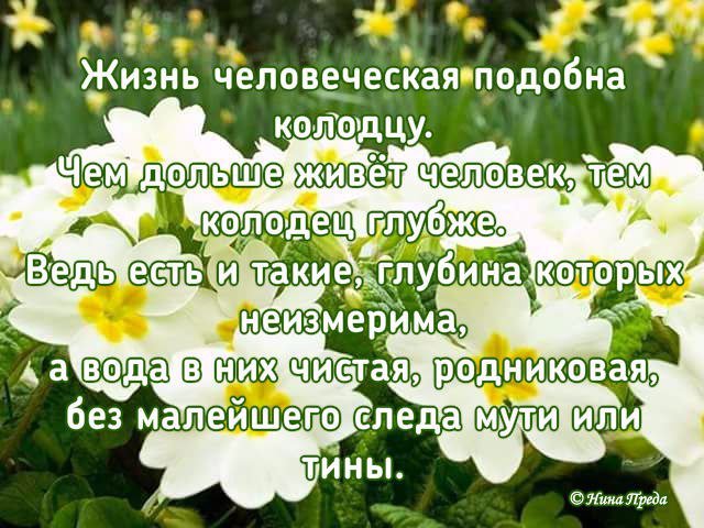  - 15  2019  08:24