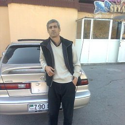 , 53, 