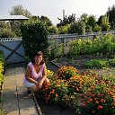  Galina,  -  31  2019    