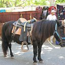 ���� ��������, �������, 74 ���� - ��������� 8 �������� 2019 � ������ ��������.�.�������.�