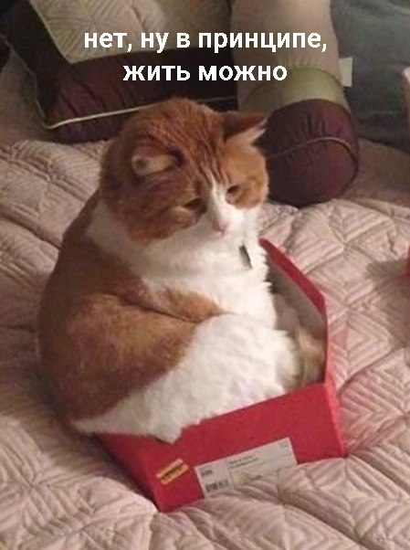       : - 2