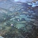 ������� ����� � ������ �������� �� ������� ���� ����������