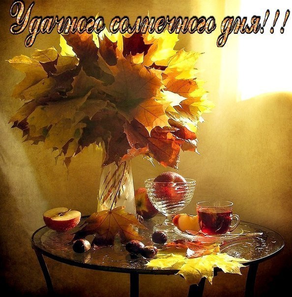   ,    . - 13  2019  15:24