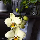 ���� �������, ������� �����, 50 ��� - ��������� 13 ������� 2019 � ������ ���� ����������