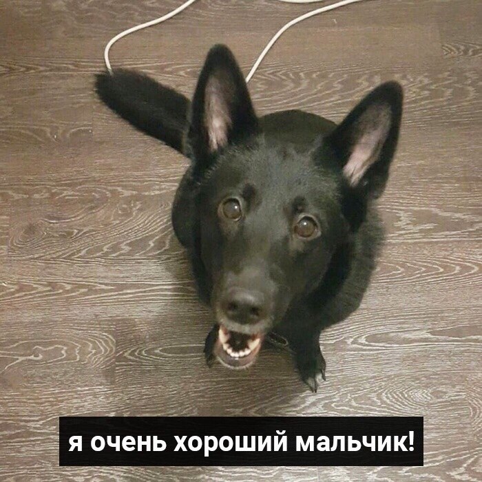   ,   ,  ... - 3