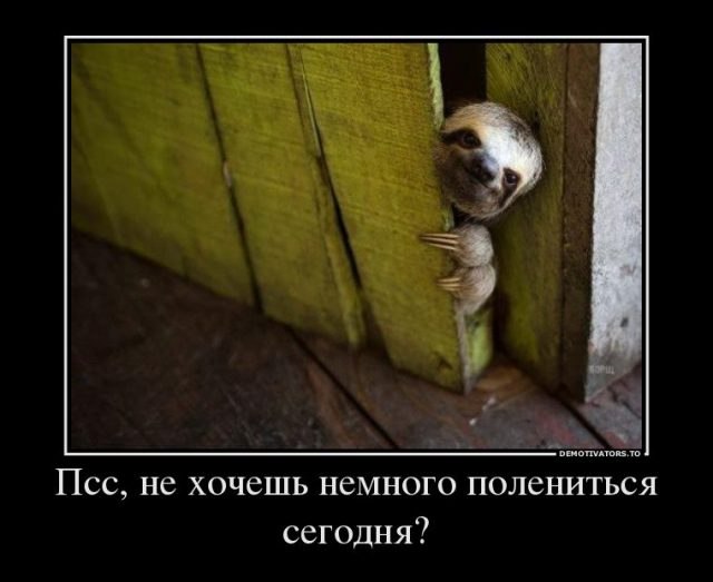 ***Victoria Viktorovna*** - 4  2019  09:26