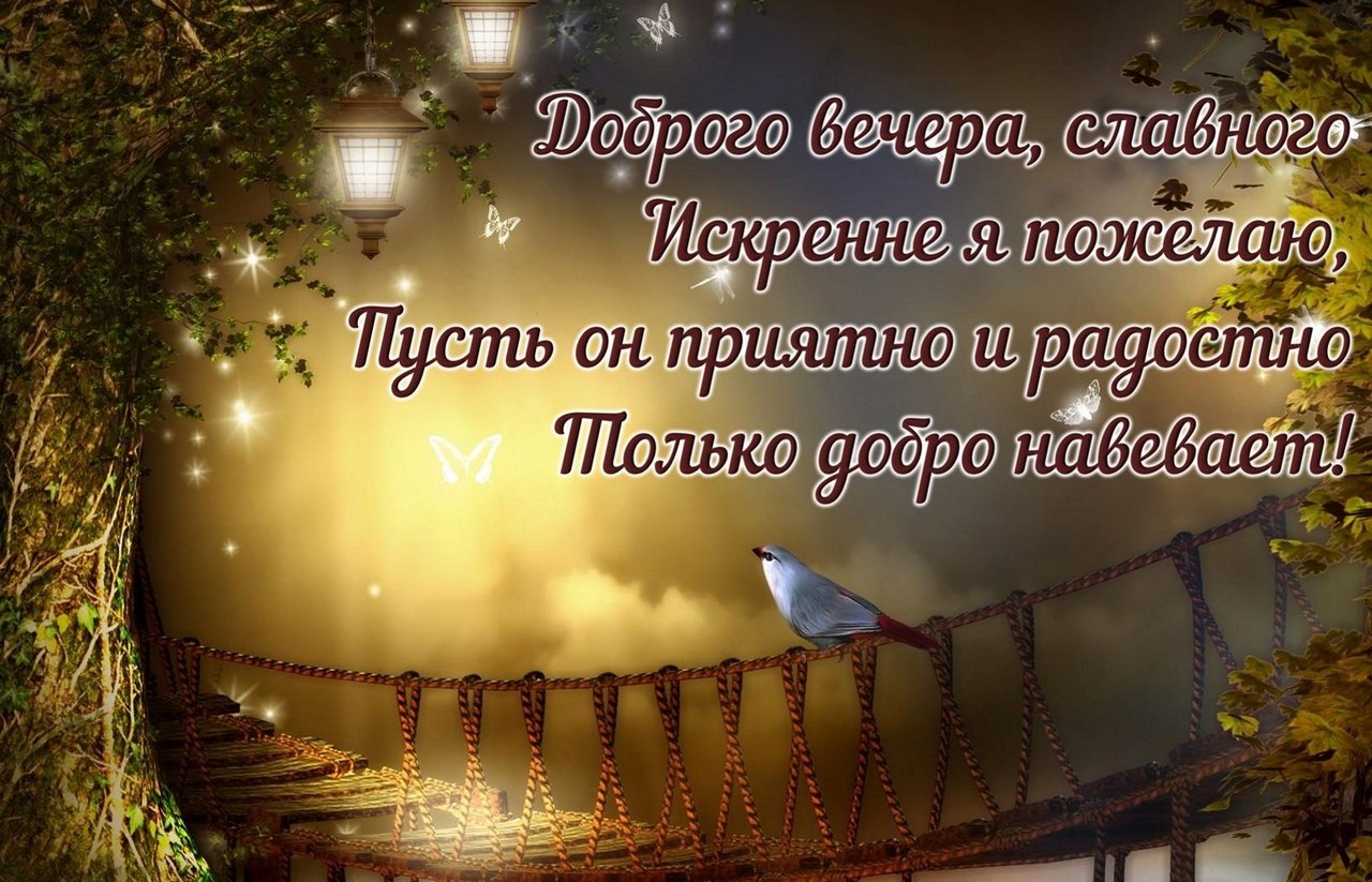   ,    . - 10  2019  20:08