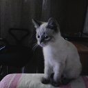 ���� �����, �����-���������, 56 ��� - ��������� 7 ������ 2019 � ������ ������ ��������