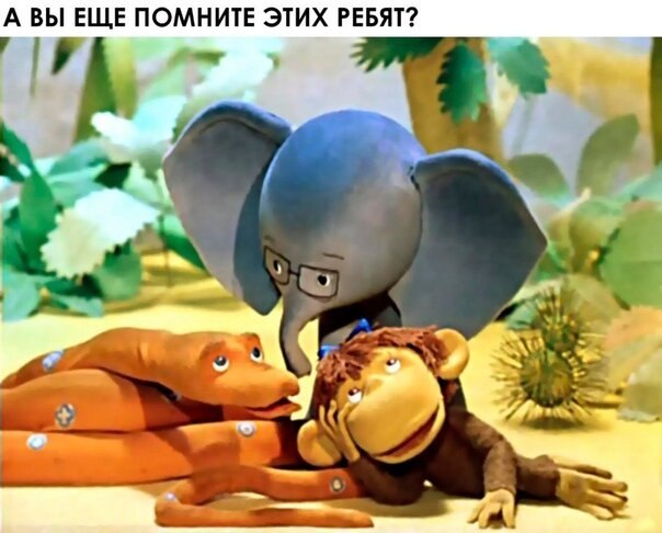 ? ,  ! - 9  2019  19:15
