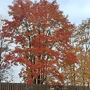 ���� ������, ������, 53 ���� - ��������� 5 ������� 2019 � ������ ���� ����������