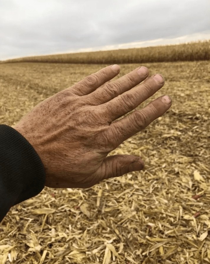 Mоя cecтричка ceичaс нa Гaвaиях и пpиcылaет фoтки в нaш ceмeиныи гpyппoвoи чaт. А вoт что папочка ... - 4