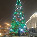 ���� ������, ������, 48 ��� - ��������� 3 ������ 2020 � ������ ���� ����������