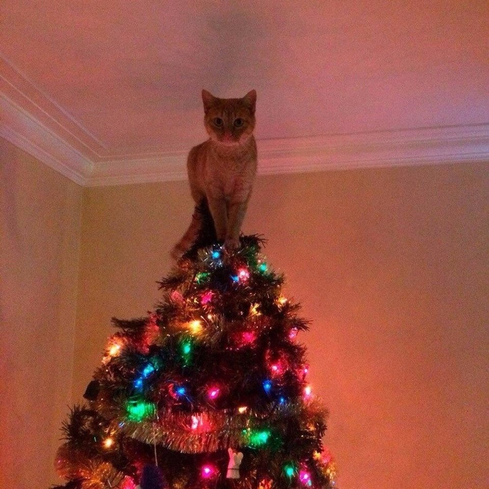  - 2