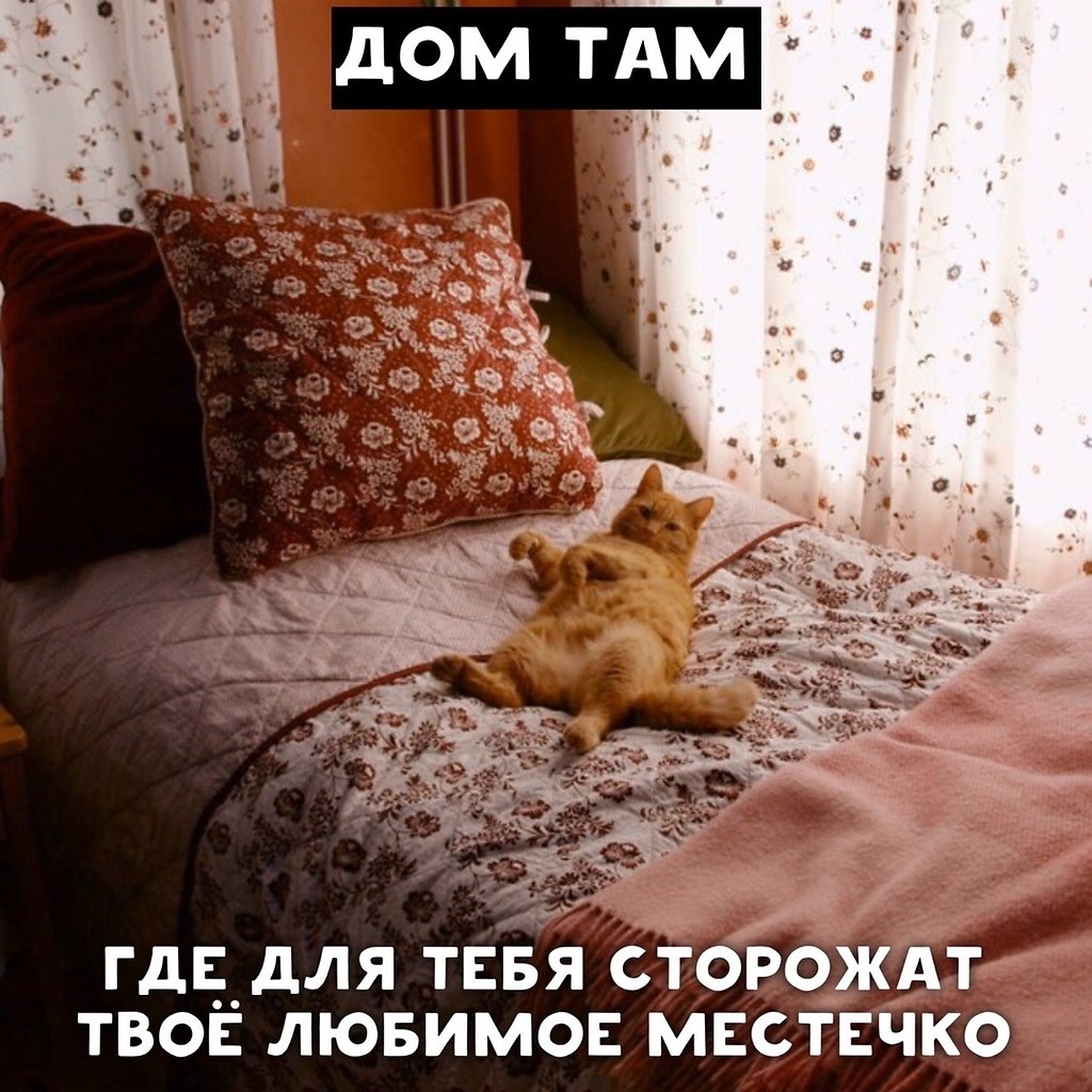 картинки дом там где