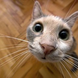 ���� Tk, ������, 37 ��� - ��������� 12 ��� 2019