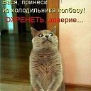 ���� �����, ������ - ��������� 16 ������� 2019 � ������ ������ ��������