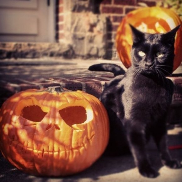 Happy Halloween! - 10