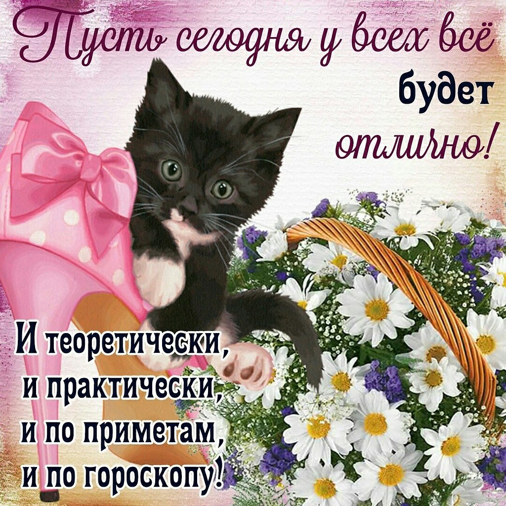   ,    . - 13  2019  13:45
