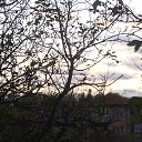 ���� Alex, �������, 55 ��� - ��������� 12 ������� 2019 � ������ ������ ��������