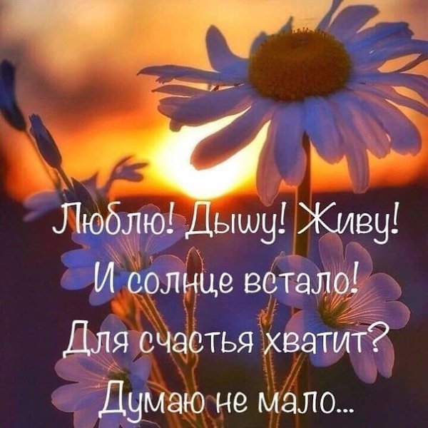  - 6  2019  02:56